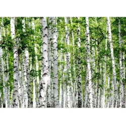 Savage Zápisník A5 GROWBOOK