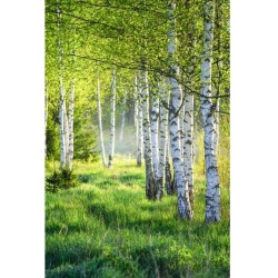 Savage Zápisník A5 GROWBOOK