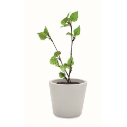 Savage Zápisník A5 GROWBOOK