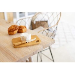 Sada na sýr Taleggio