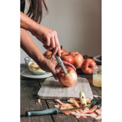 Cory Nerezový odstraňovač jádřince