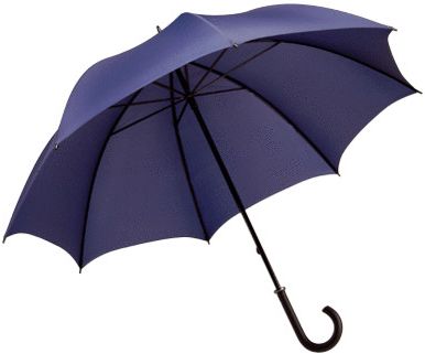 Купить мужской зонтик. Зонт трость синий. Мужской зонт трость. Темно синий зонт трость. Вантовый зонт.