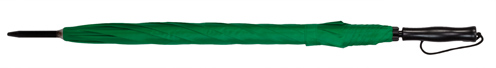 Altis zelený deštník