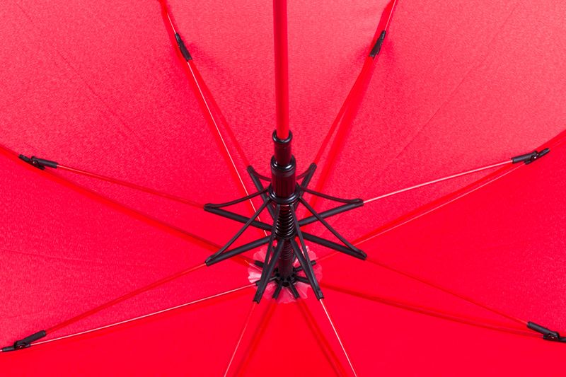 Cladok deštník