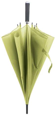Deštník, zelená