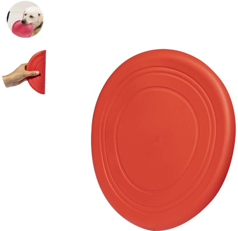 Girud Frisbee