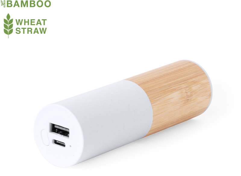 Reneh Power Bank