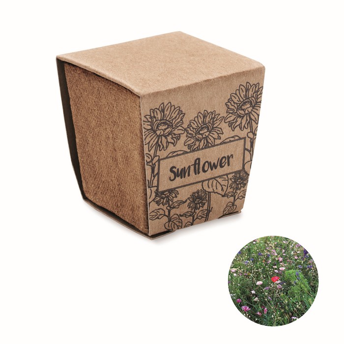SUNFLOWER KIT Sada na pěstování slunečnice