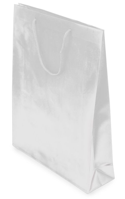 Dárková taška PVC 31x39x9 cm
