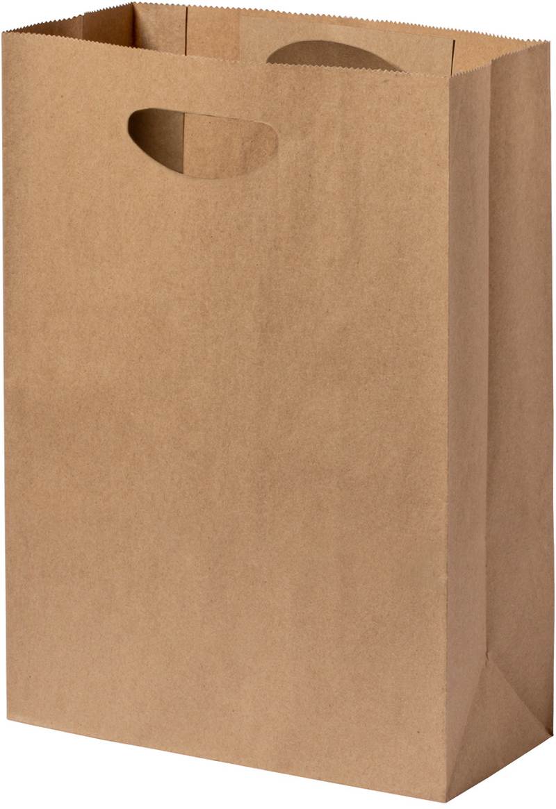Papírová taška Haspun