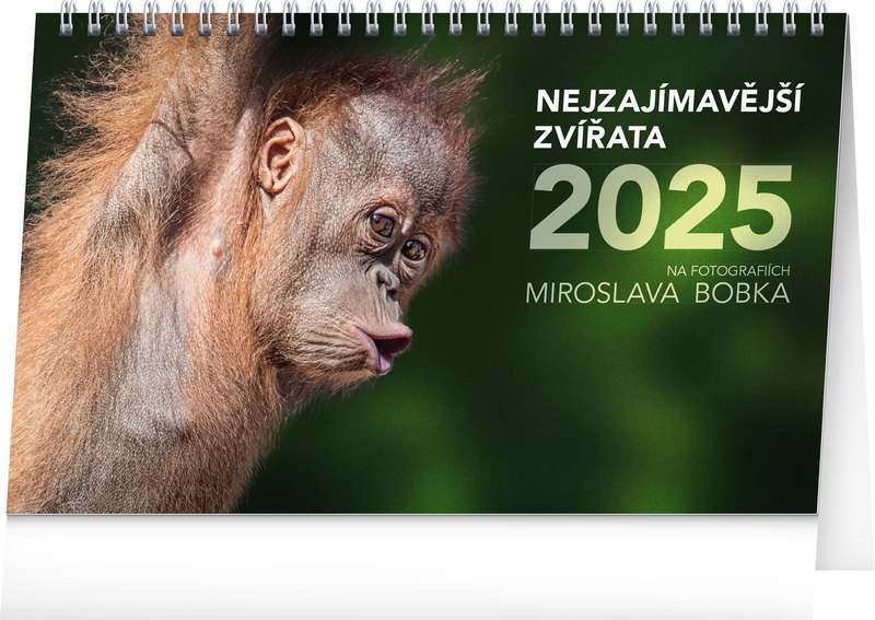 Stolní kalendář Nejzajímavější zvířata