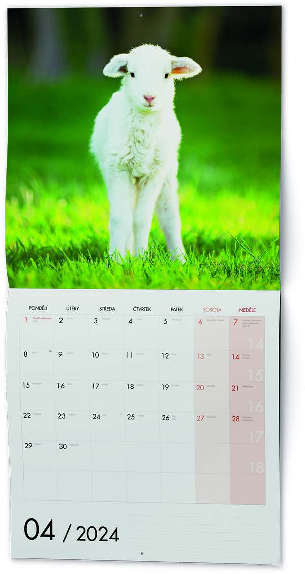 Nástěnný kalendář - Poznámkový - Zvířátka