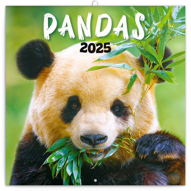 Poznámkový kalendář Pandy