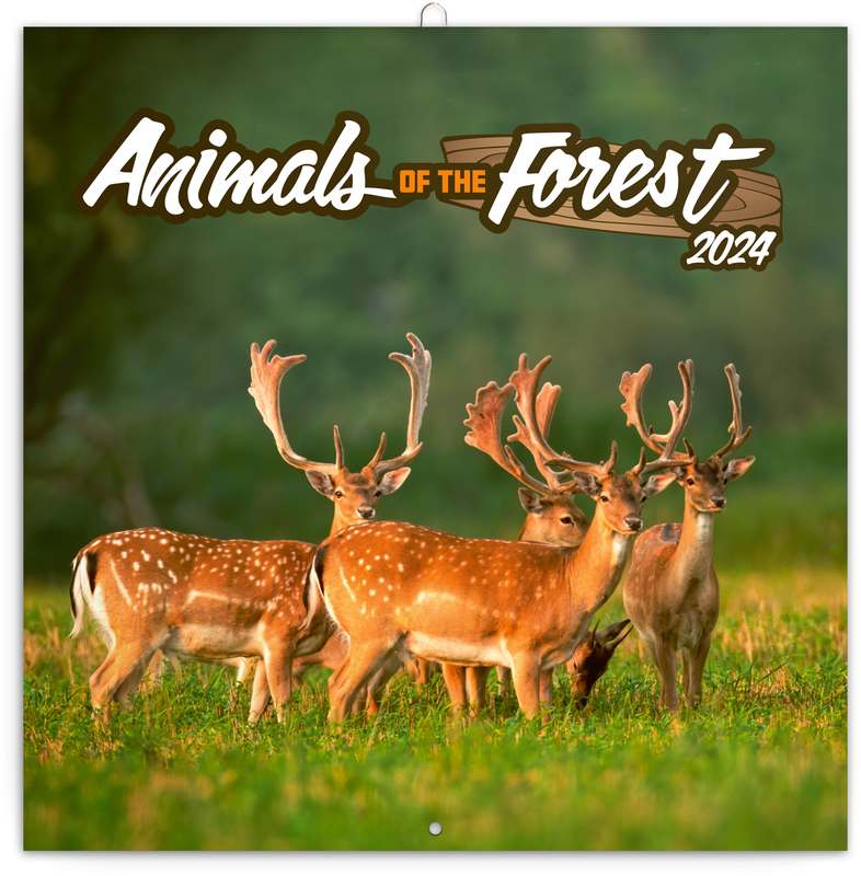 Poznámkový kalendář Zvířátka z lesa 2024, 30 x 30 cm