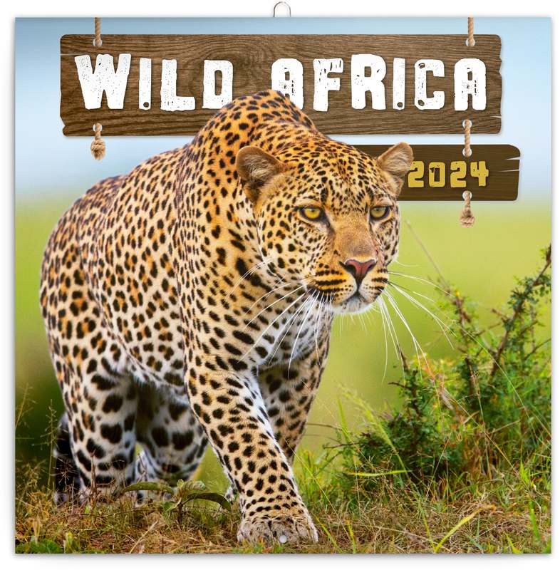 Poznámkový kalendář Divoká Afrika 2024, 30 x 30 cm